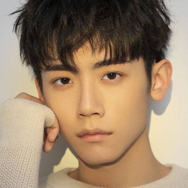 Li Qin