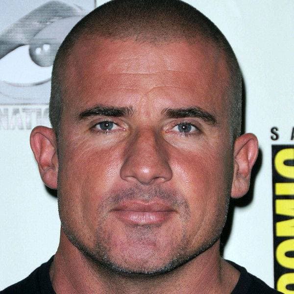 Dominic Purcell