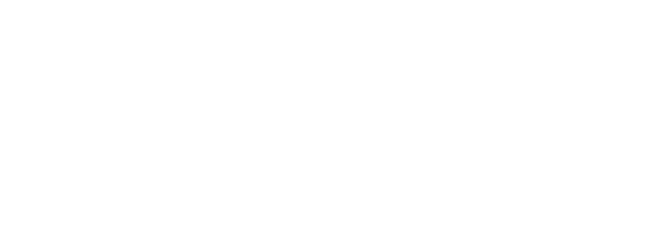 partner logo image